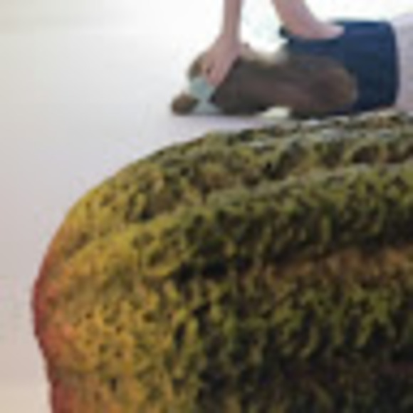 Meet your Posher, Maxime - Picture 1 of 1